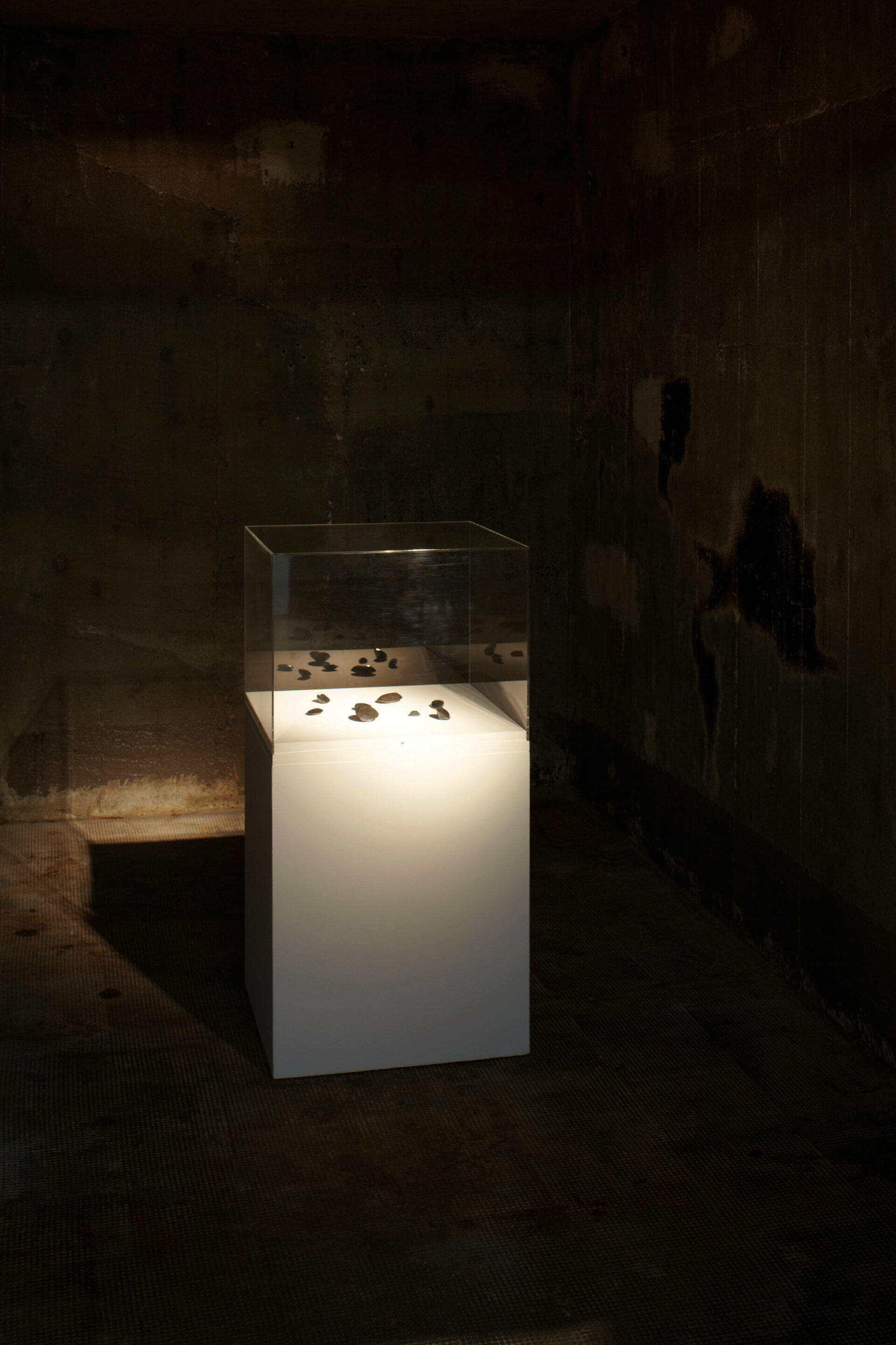 Vitrine mit polierten Steinen in einem dunklen Raum: Alicja Kwades Werk Bordsteinjuwelen – Miami (2008), ausgestellt auf einem hell beleuchteten Sockel in der Boros Collection.