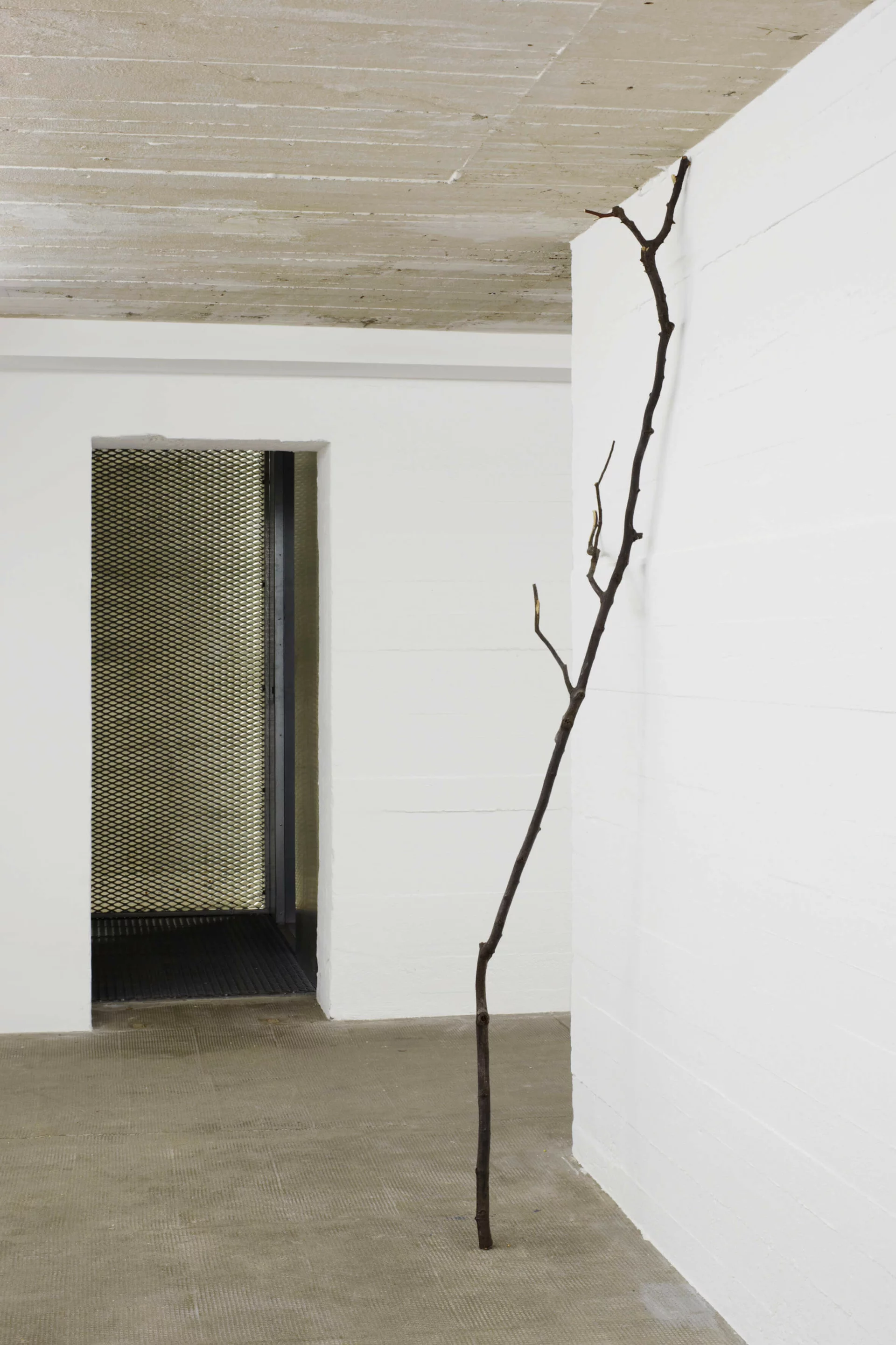 Alicja Kwades Parallelwelt (Ast/Antiast) I (2010) zeigt einen aufrechten Ast mit Metallenden an weißer Wand – Natur trifft Konzeptkunst.