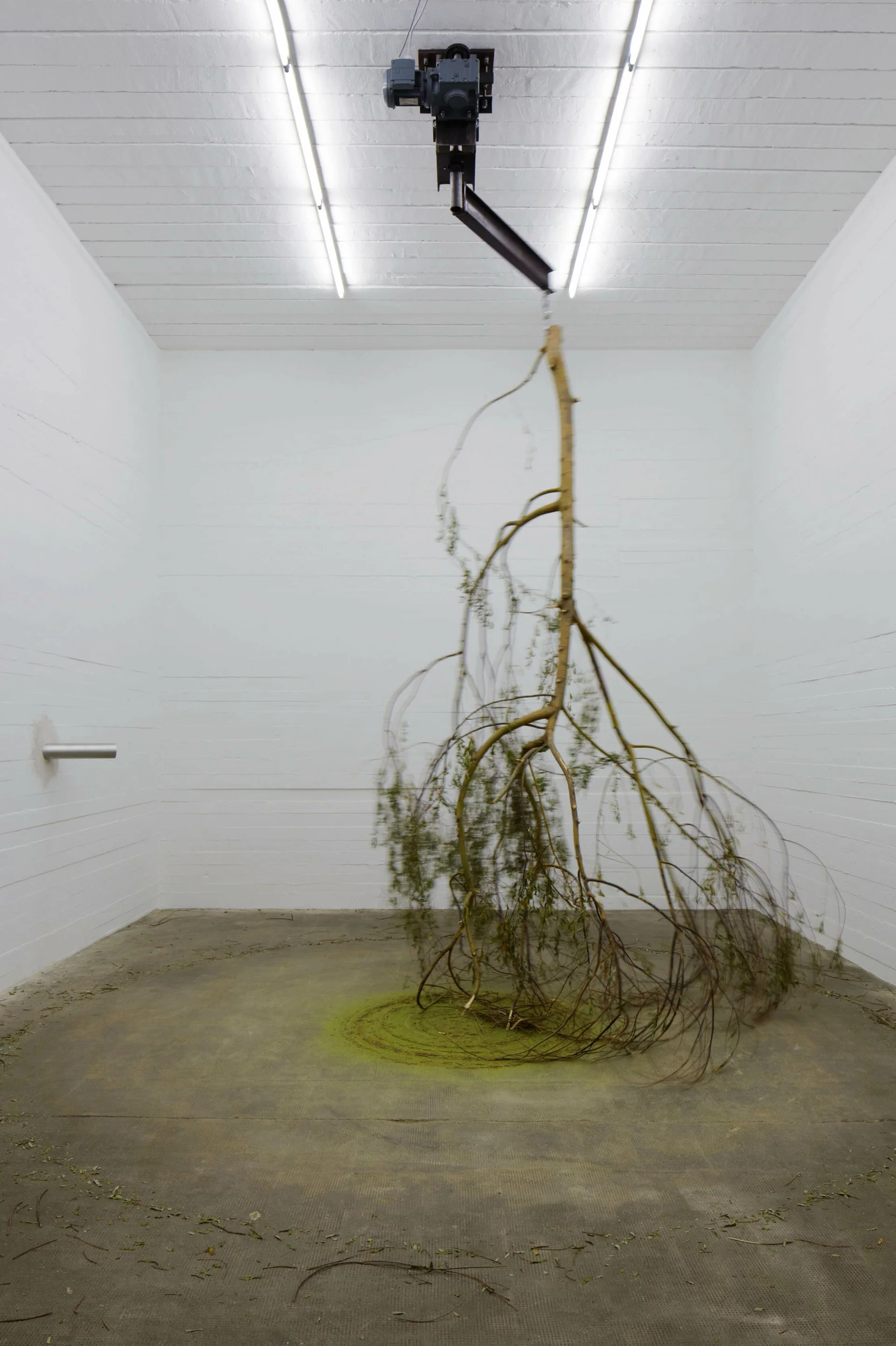 Ein umgekehrter Baum hängt an einem Motor von der Decke und kreist über den Boden – Michael Sailstorfers kinetische Installation thematisiert Natur, Kraft und Vergänglichkeit.
