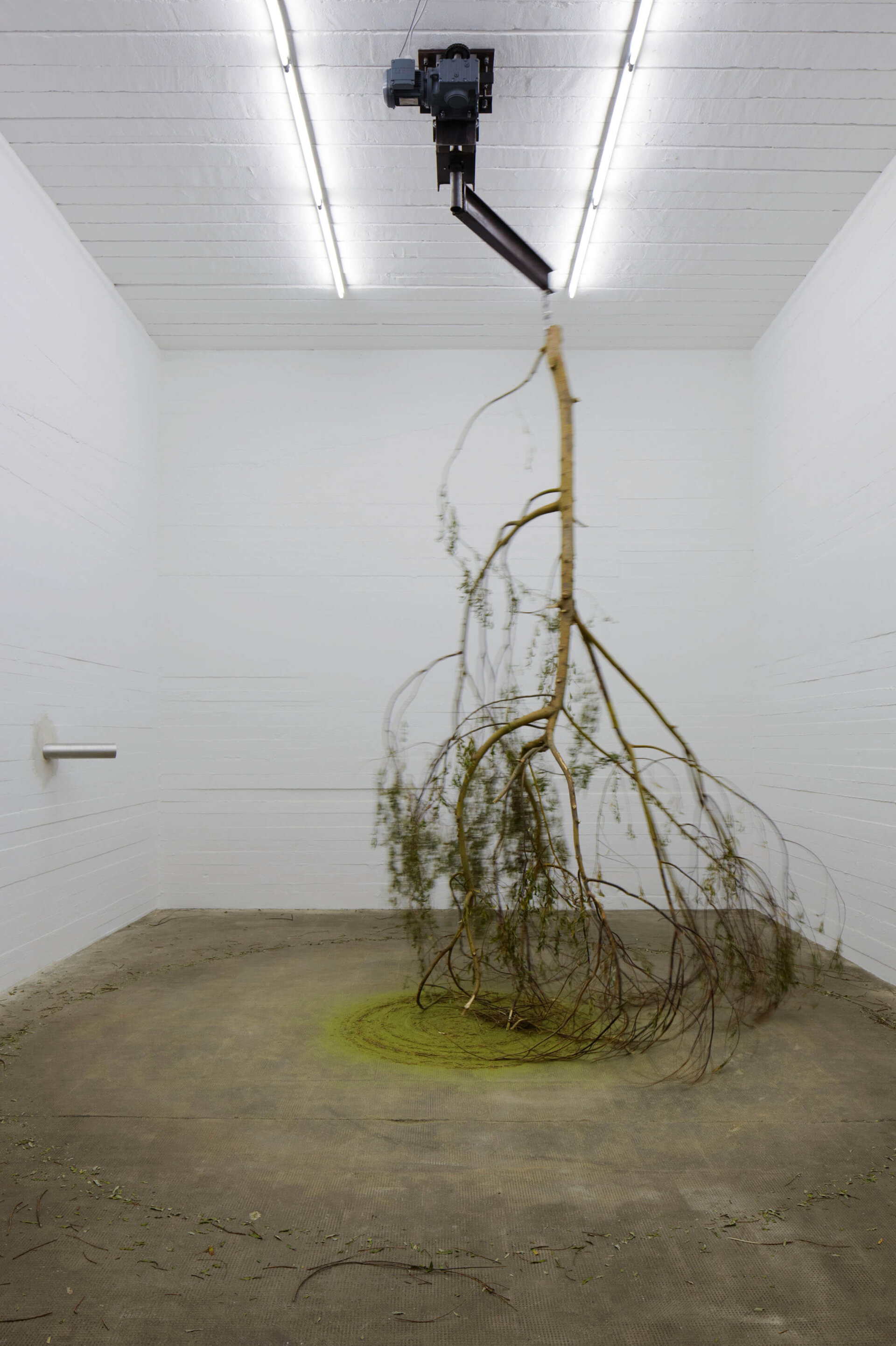 Ein umgekehrter Baum hängt an einem Motor von der Decke und kreist über den Boden – Michael Sailstorfers kinetische Installation thematisiert Natur, Kraft und Vergänglichkeit.
