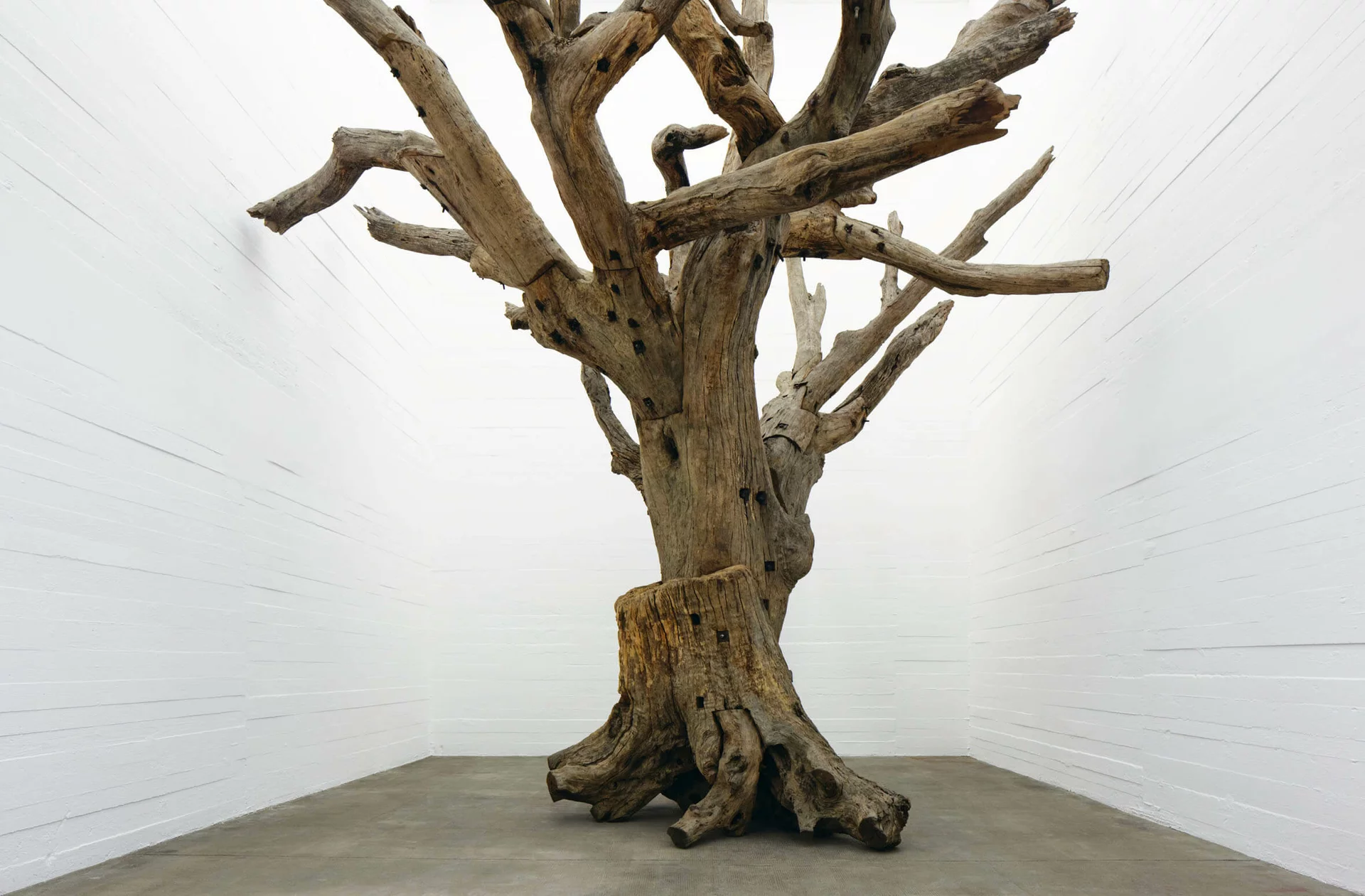 Installationsansicht von Ai Weiweis Werk Tree (2009–2010), ein monumentaler zusammengesetzter Baum aus gesammelten Holzfragmenten, ausgestellt in einem weißen Raum der Boros Collection.