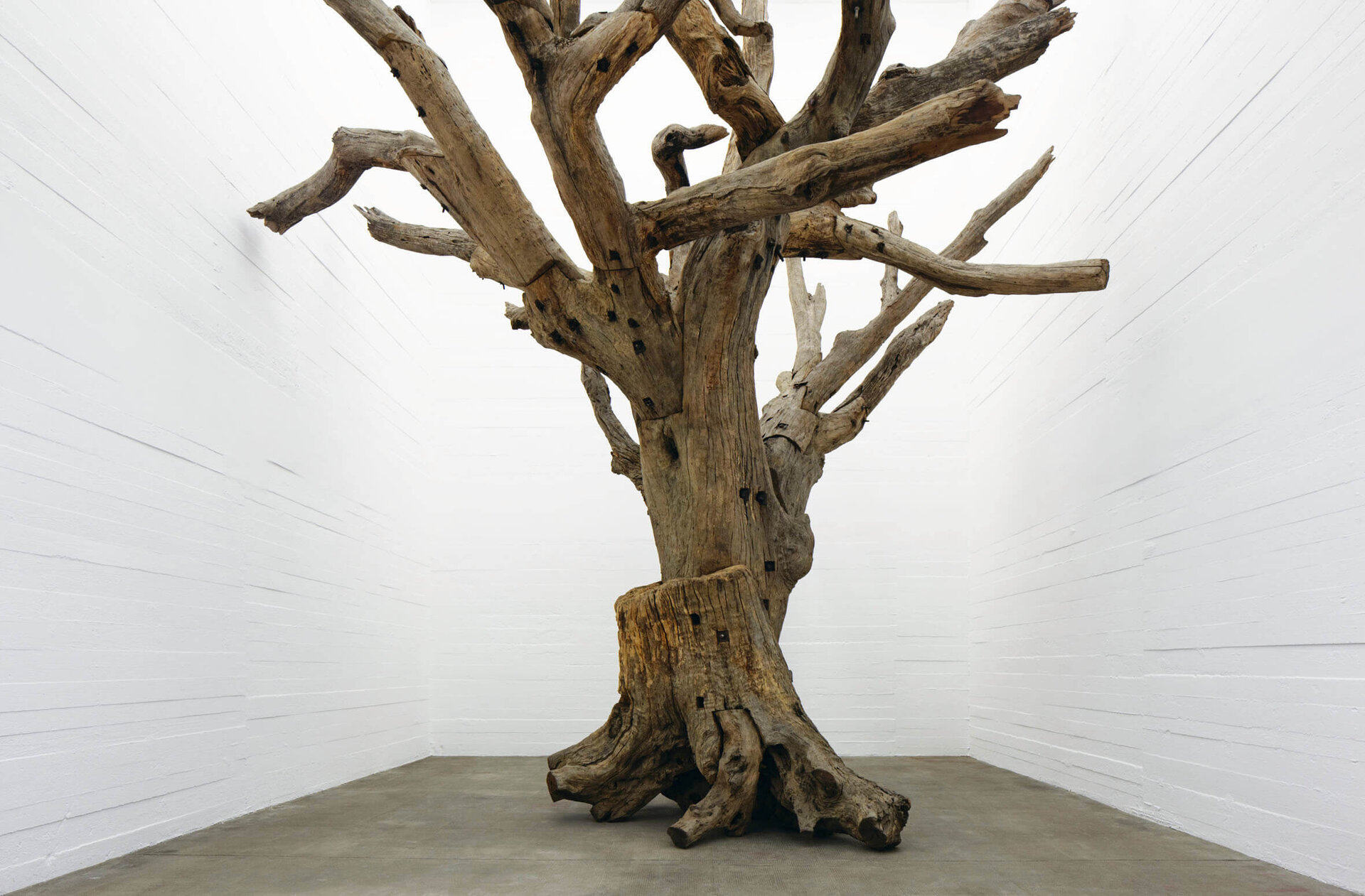 Installationsansicht von Ai Weiweis Werk Tree (2009–2010), ein monumentaler zusammengesetzter Baum aus gesammelten Holzfragmenten, ausgestellt in einem weißen Raum der Boros Collection.