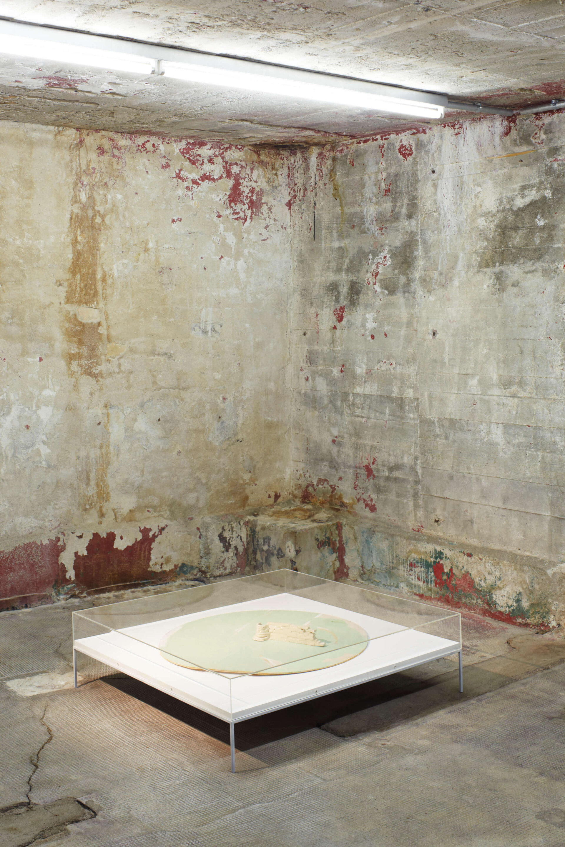 Kunstwerk von Thea Djordjadze in einer flachen Vitrine auf einem weißen Sockel, gezeigt in einem roh belassenen Raum mit abgeplatztem Putz und Betonwänden der Boros Collection.