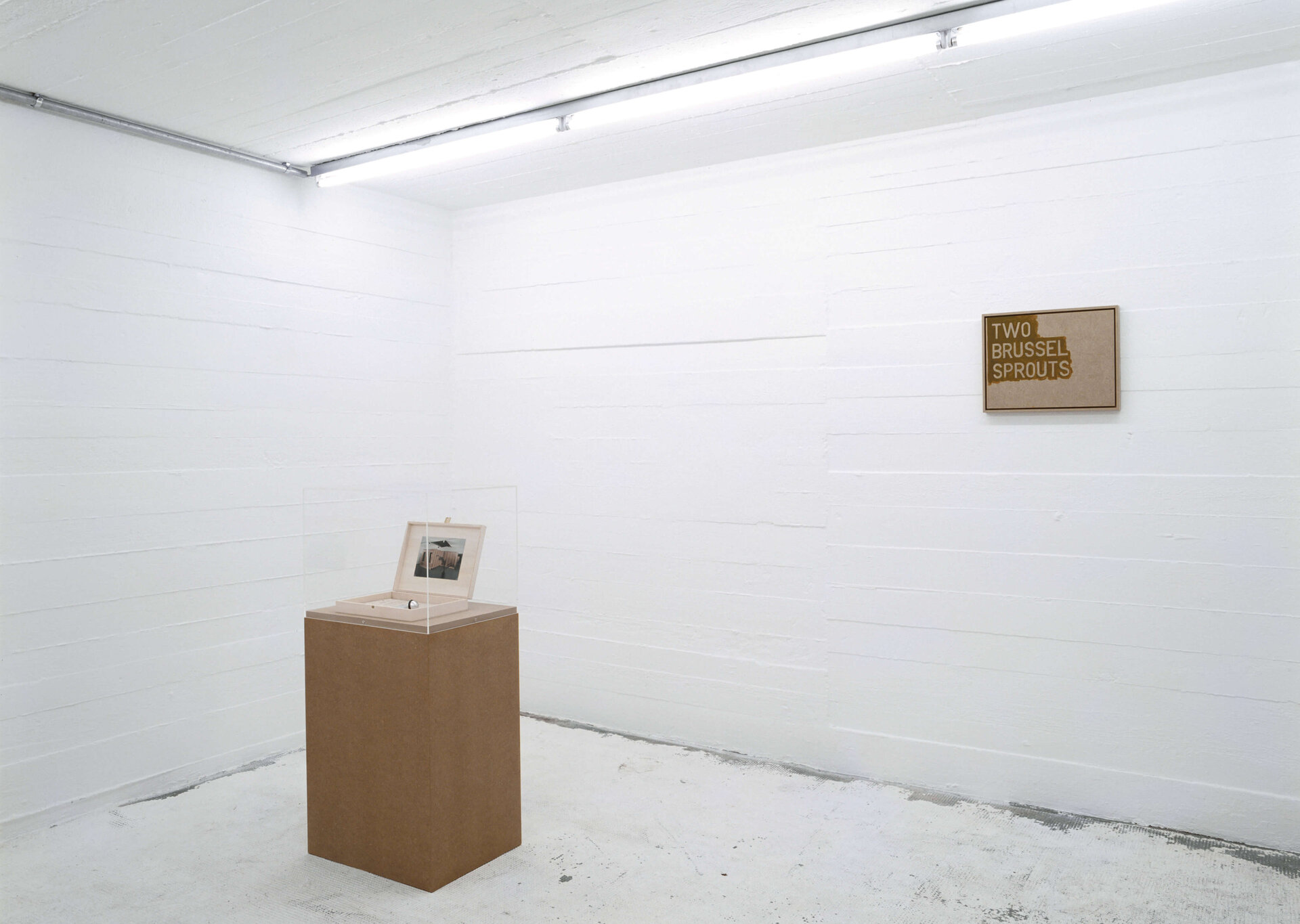 Installation mit Texttafel „TWO BRUSSEL SPROUTS“ an der Wand und kleiner Vitrine mit Bild und Objekt auf Sockel.