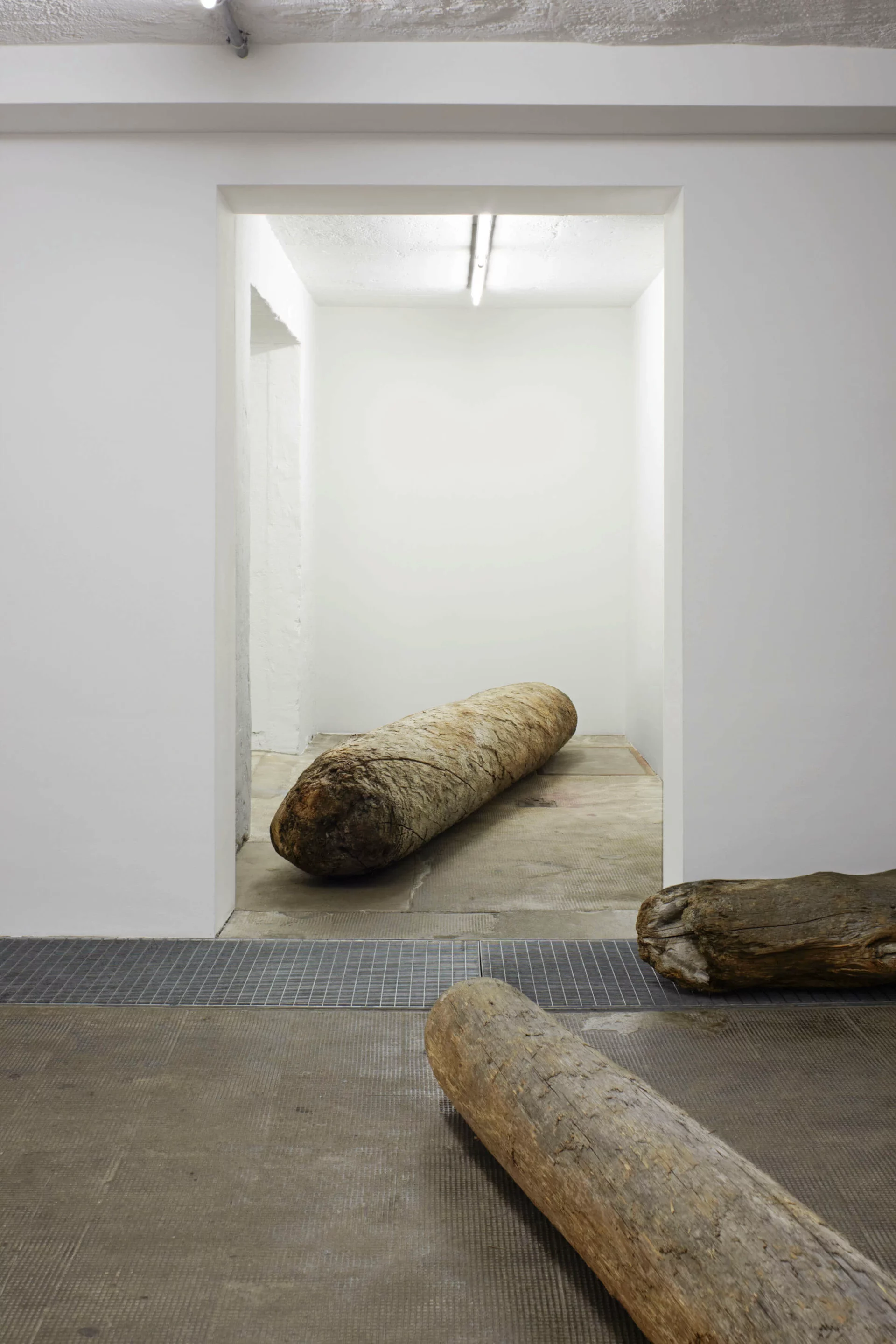 Große Treibholzstämme liegen verteilt auf dem Boden eines weißen Ausstellungsraums im Boros Bunker, Berlin.