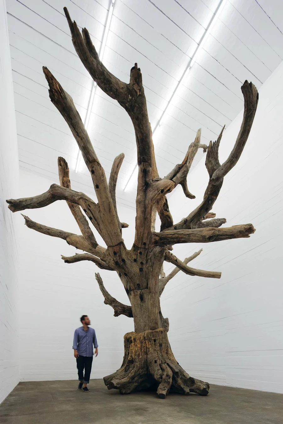 Besucher vor Ai Weiweis Skulptur Tree (2009–2010) aus Holzfragmenten im weißen Ausstellungsraum der Boros Collection.